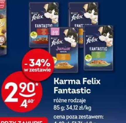 karma dla kota