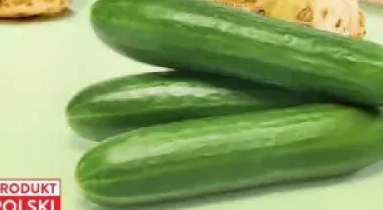 ogórki krótkie
