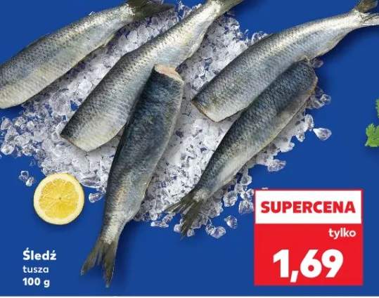 śledzie