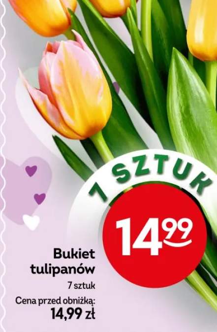 tulipany bukiet