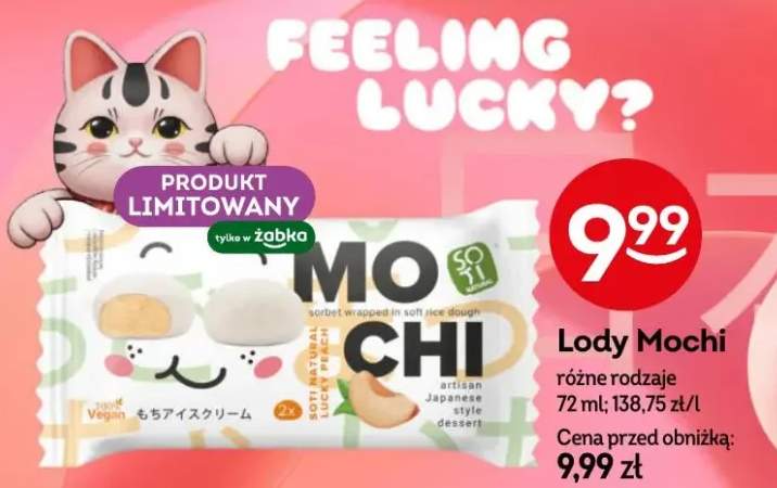 Lody różne rodzaje