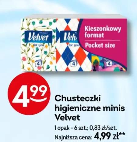 Chusteczki higieniczne minis