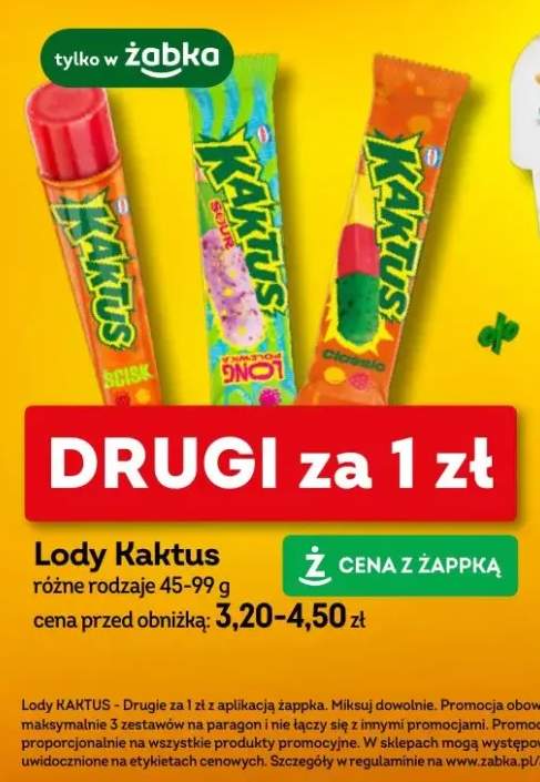 Lody Kaktus różne rodzaje