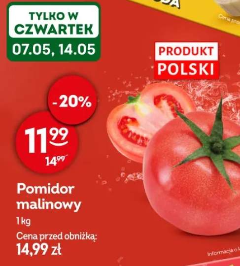 Pomidor malinowy polski