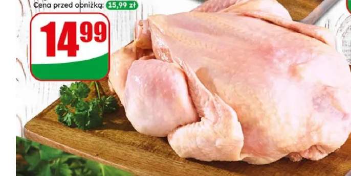 kurczak