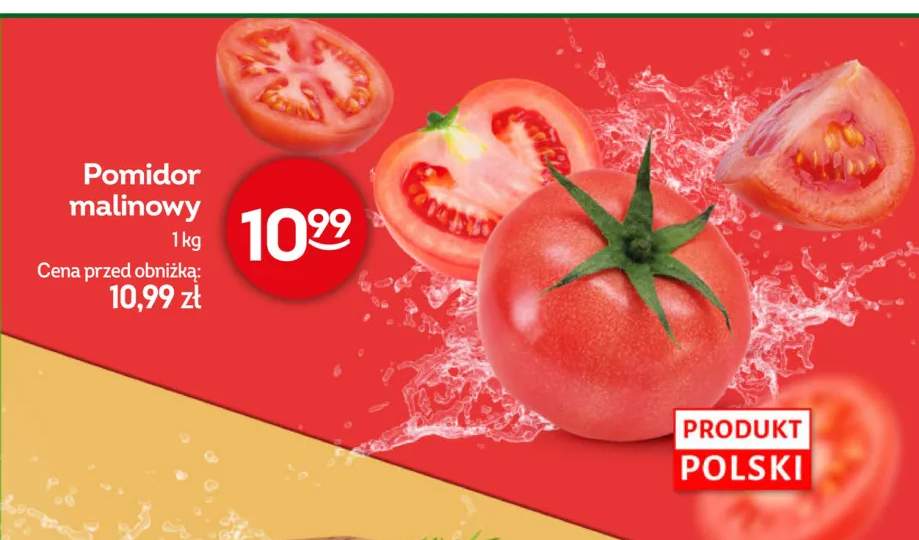 Pomidor malinowy polski