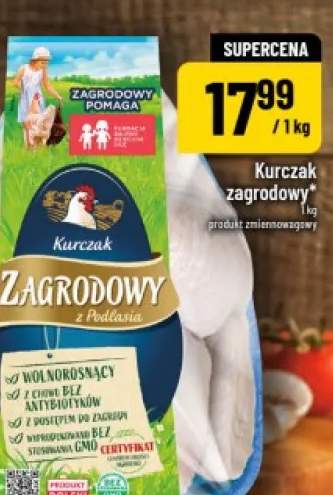 kurczak
