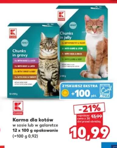 karma dla kota