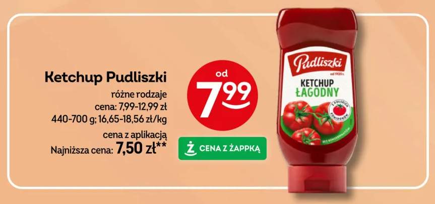 Ketchup Pudliszki