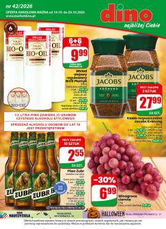 Okładka gazetki Dino