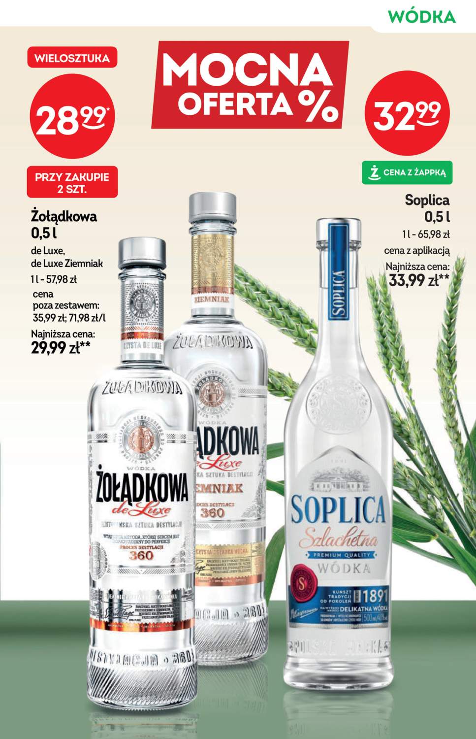 Gazetka – strona 15