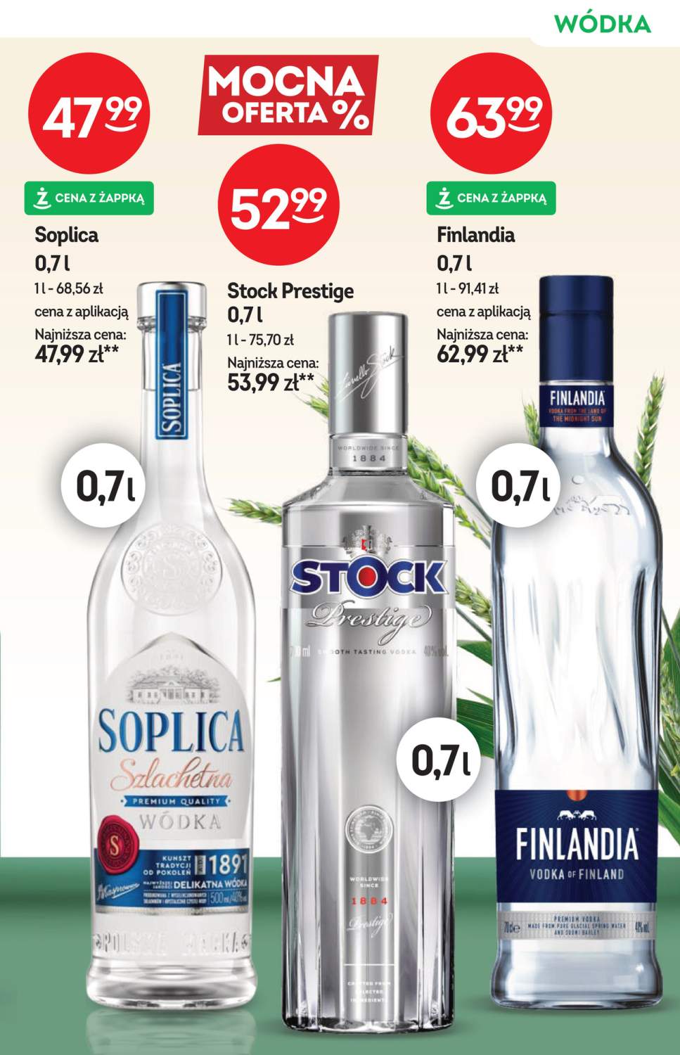 Gazetka – strona 13