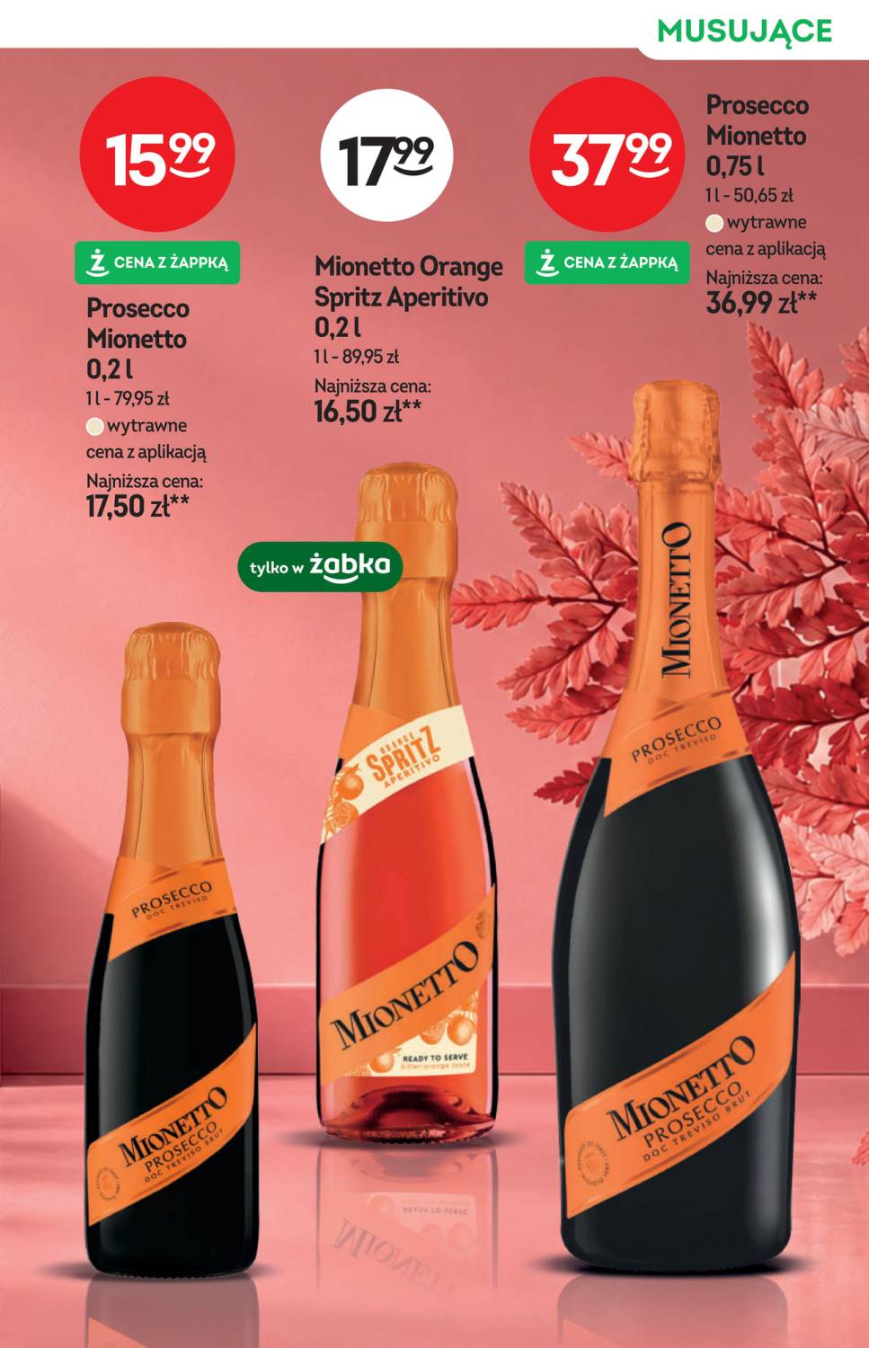 Gazetka – strona 19